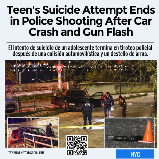 Teen's Suicide Attempt Ends in Police Shooting After Car Crash and Gun Flash