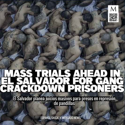 Mass Trials Ahead in El Salvador for Gang Crackdown Prisoners