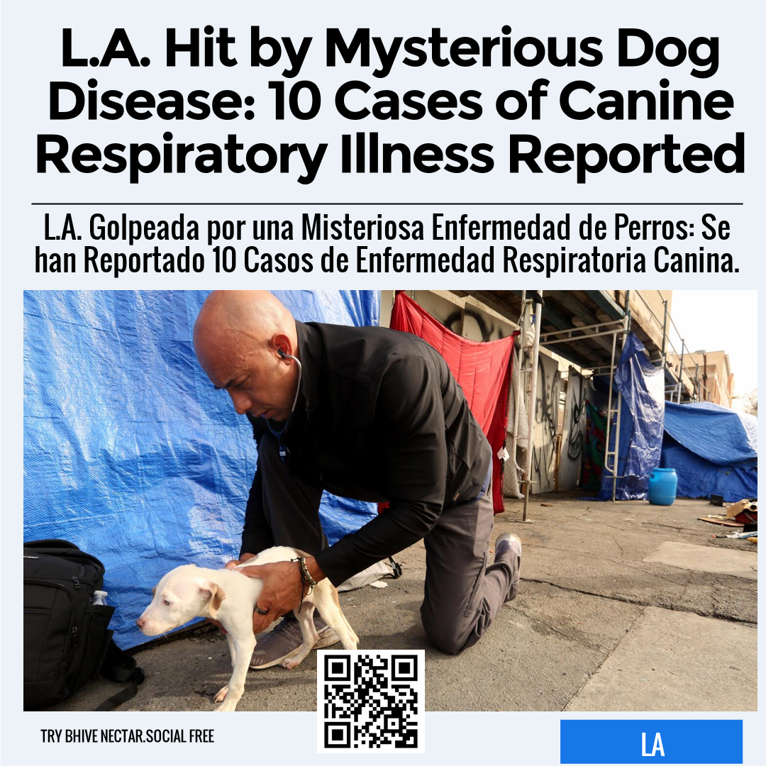 L.A. Hit by Mysterious Dog Disease: 10 Cases of Canine Respiratory Illness Reported