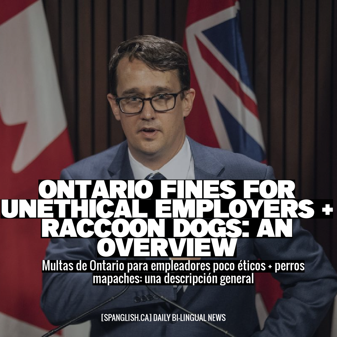 Ontario Fines for Unethical Employers + Raccoon Dogs: An Overview