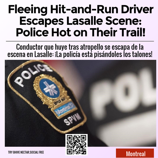 Fleeing Hit-and-Run Driver Escapes Lasalle Scene: Police Hot on Their Trail!