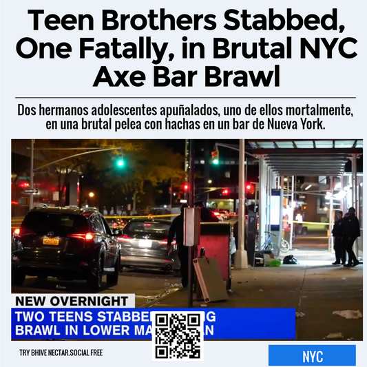 Teen Brothers Stabbed, One Fatally, in Brutal NYC Axe Bar Brawl