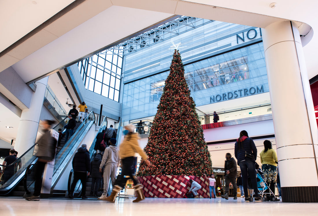 Canadians Beat Inflation, Hunt for Deals: Early Holiday Shopping Soars