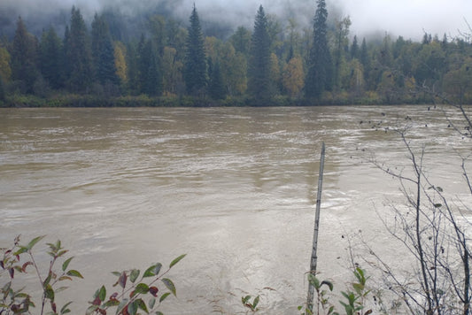 Flood Alert: North Thompson River Rising Fast! Act Now!