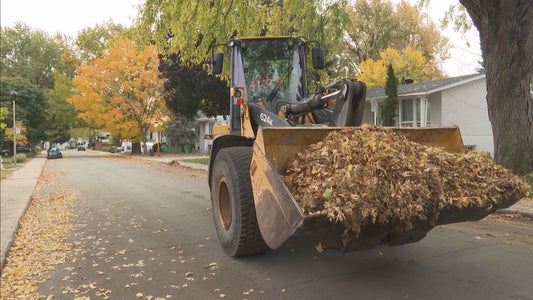 Montreal Crews Sprint to Gather Leaves Pre-Snowfall!