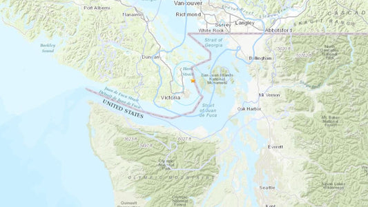 Quake Shakes Up Victoria: Stay Informed with Our App!